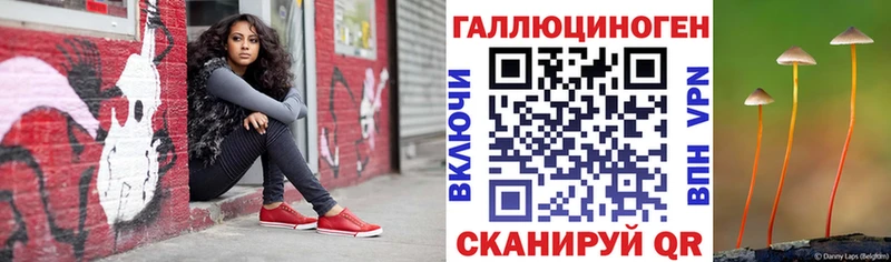 Купить закладки  Завитинск  Псилоцибиновые грибы GOLDEN TEACHER 